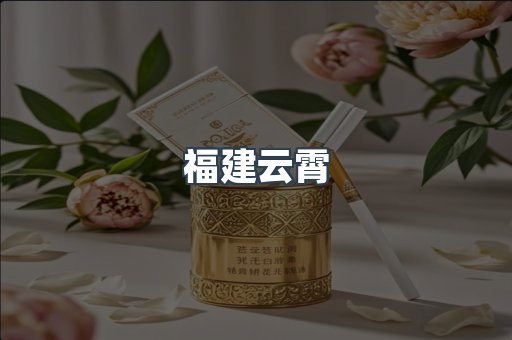 福建云霄